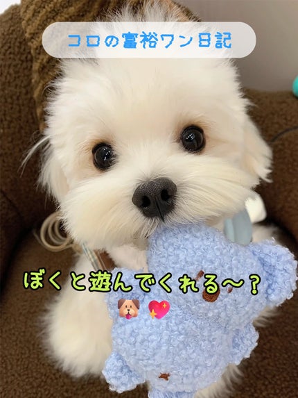 アネトス アクネケア トリートメント セラム/Anetos/美容液を使ったクチコミ(1枚目)