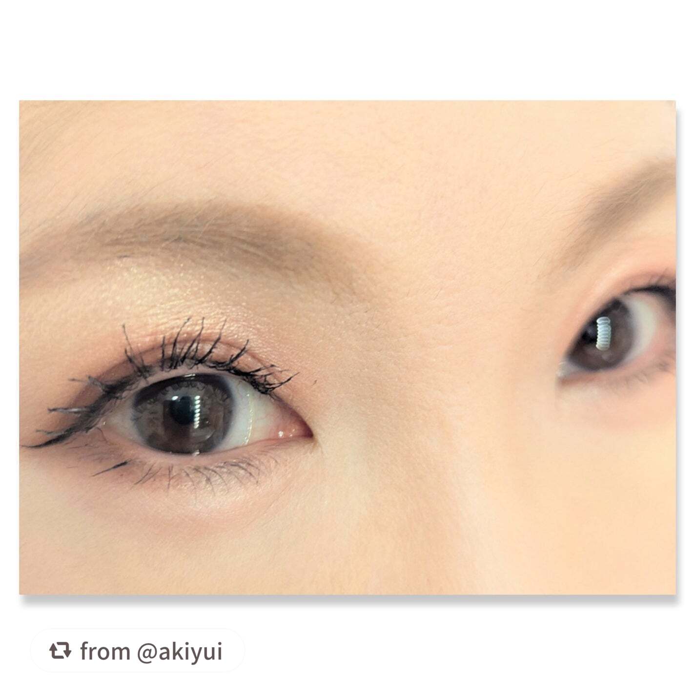 ザジー ジグソーアイシャドウパレット/SHEGLAM/アイシャドウパレットを使ったクチコミ(2枚目)