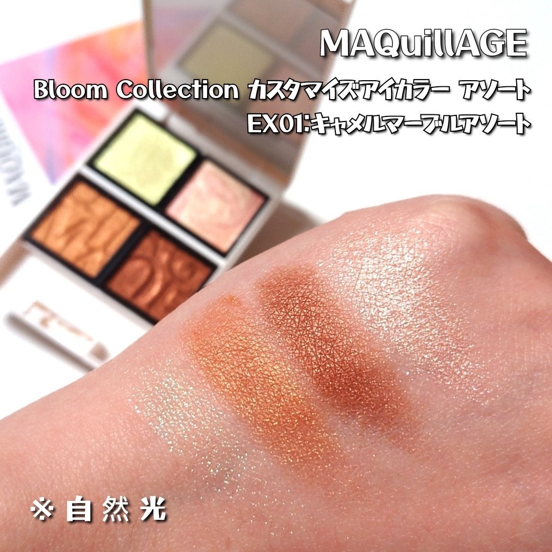 ドラマティックアイカラー (パウダー)/(クリーム)/マキアージュ/アイシャドウパレットを使ったクチコミ(3枚目)