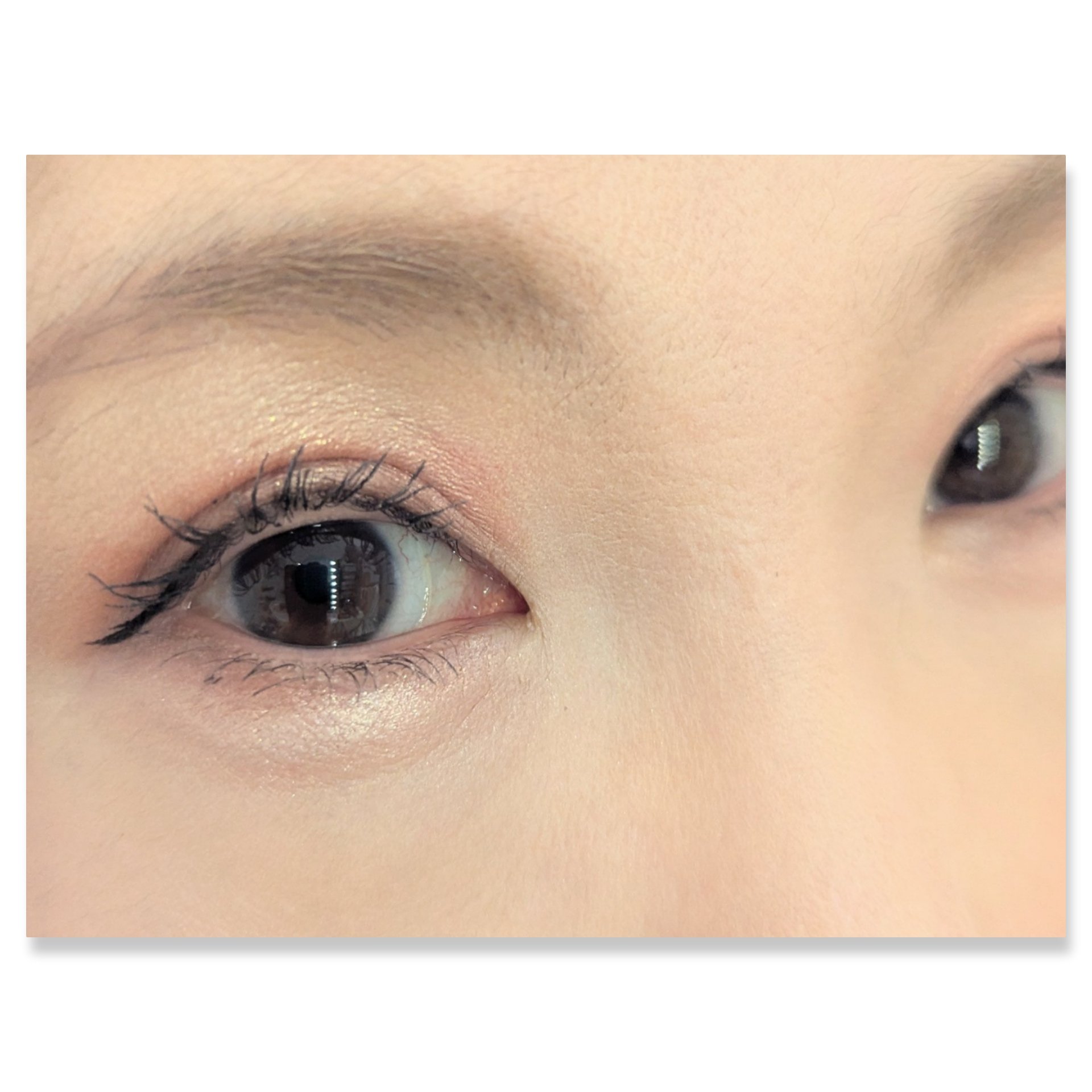 ショコラスウィート アイズ/リンメル ロンドン/アイシャドウパレットを使ったクチコミ（2枚目）