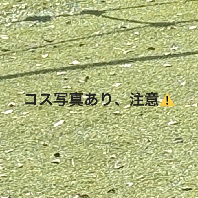 革命つけま/Wink Make/つけまつげを使ったクチコミ（1枚目）