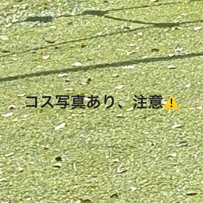 革命つけま/Wink Make/つけまつげを使ったクチコミ(1枚目)