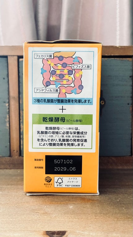 エビオス錠/エビオス錠/健康サプリメントを使ったクチコミ(3枚目)