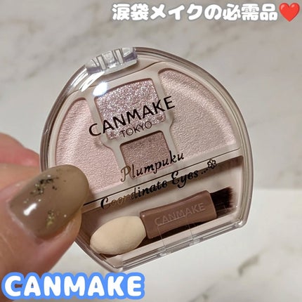 プランぷくコーデアイズNeo/キャンメイク/アイシャドウを使ったクチコミ(1枚目)