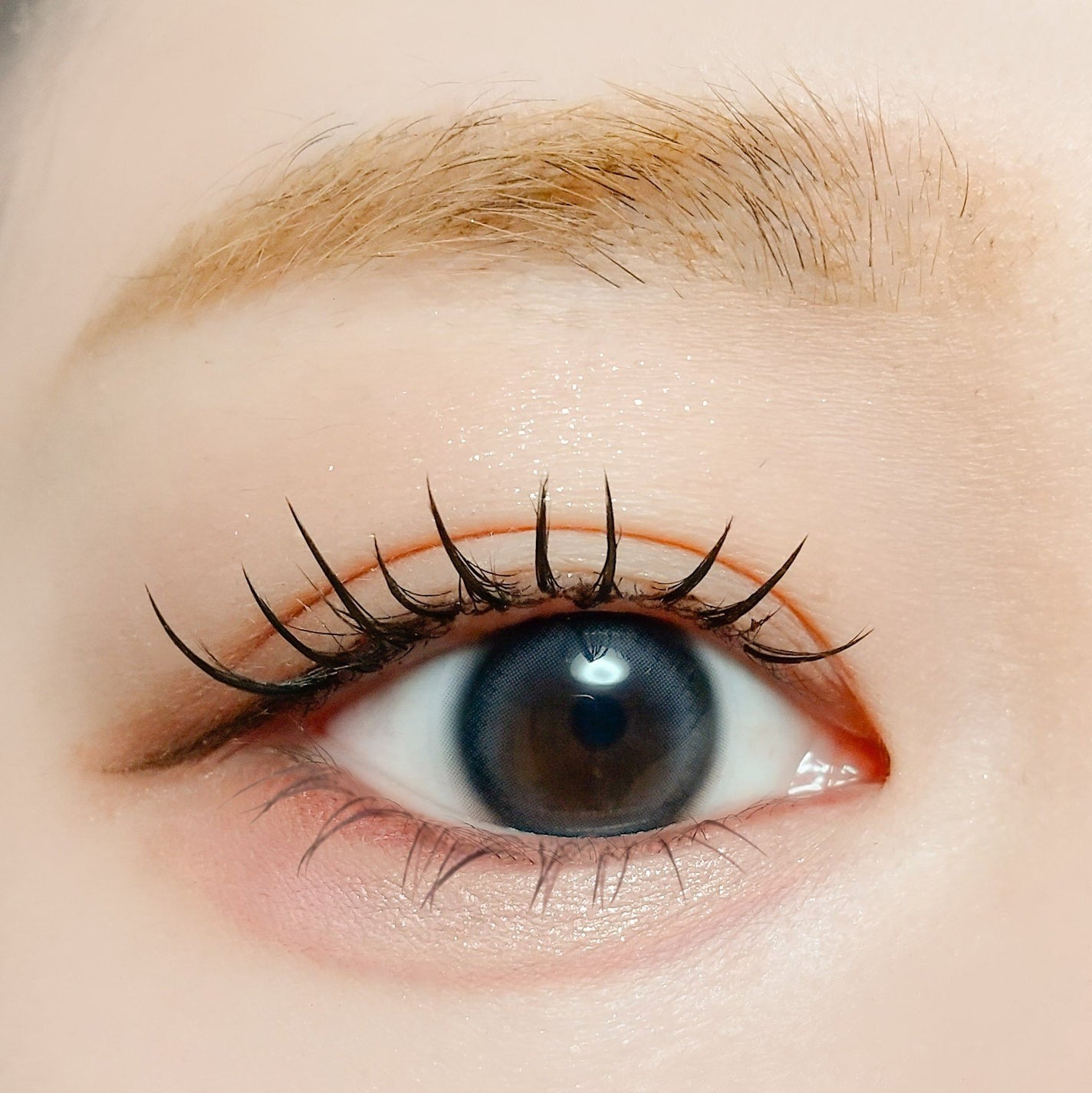 アイラッシュフィクサーEX 554/D-UP/つけまつげを使ったクチコミ(4枚目)