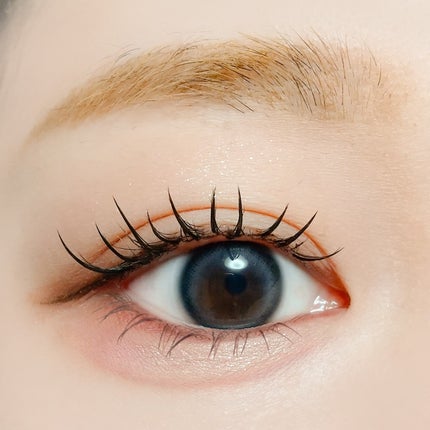 アイラッシュフィクサーEX 554/D-UP/つけまつげを使ったクチコミ(4枚目)