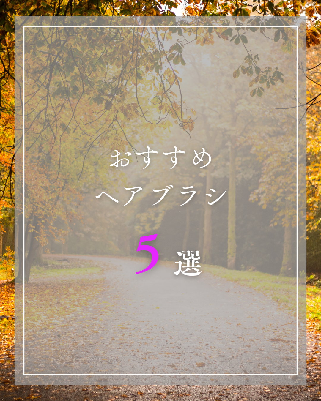 ハンディブリッスル/メイソンピアソン/ヘアブラシを使ったクチコミ（1枚目）