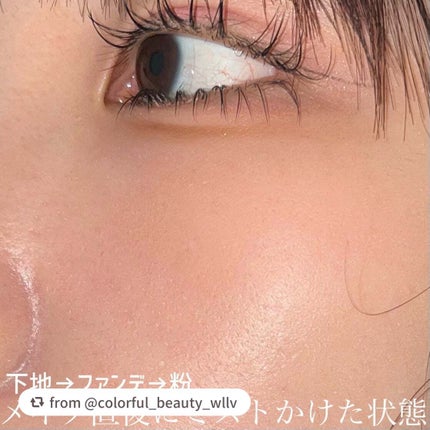 LOCK'D IN SETTING SPRAY/SHEGLAM/フィックスミストを使ったクチコミ(2枚目)