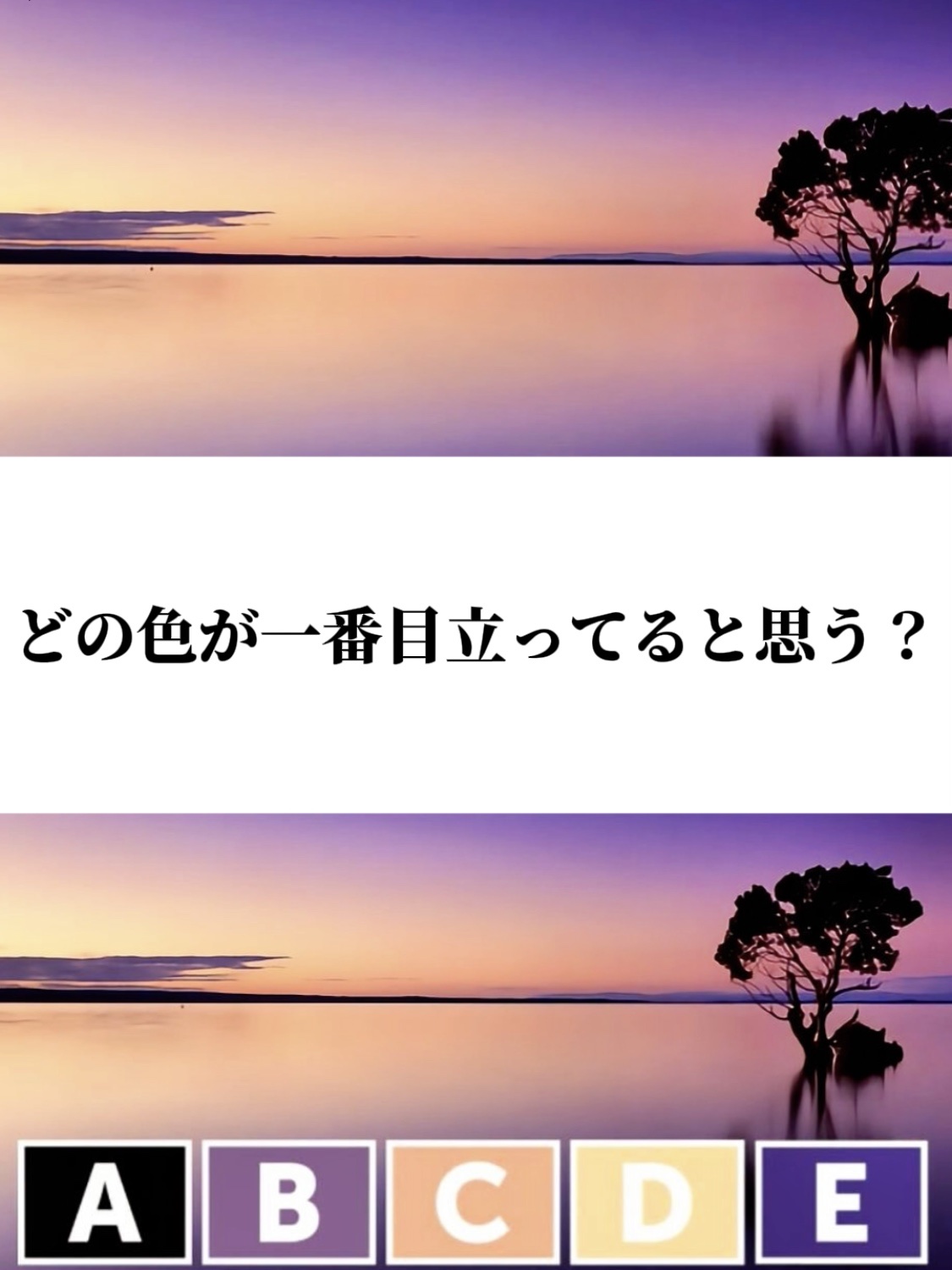 アネトス バランシング トリートメントクリーム/Anetos/フェイスクリームを使ったクチコミ（2枚目）