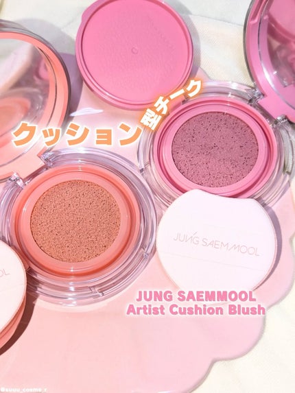 アーティストクッションブラッシュ/JUNG SAEM MOOL/リキッドチークを使ったクチコミ(1枚目)
