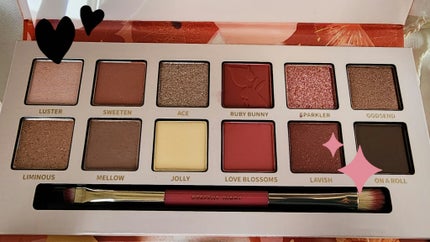 エクスプローラ12色 動物アイシャドウパレット/PERFECT DIARY/アイシャドウパレットを使ったクチコミ(2枚目)