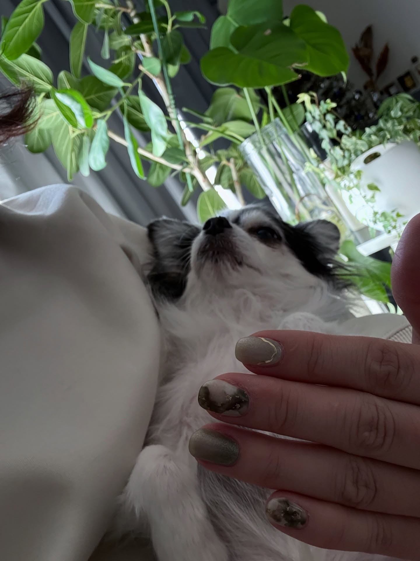 セミキュアジェルネイル（ハンド）/ohora/ネイルシールを使ったクチコミ（2枚目）