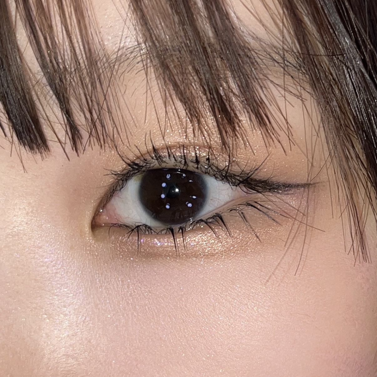 【昨日のメイク】マツエクの記録は終わりました

正直もう3本くらい
マツエクが「ついている」と言える状態ではなくなったので
シンプルに自分のアイメイクをこれから語っていこうと思います。

○お気に入り
DECORTÉ　アイグロウジェム スキ