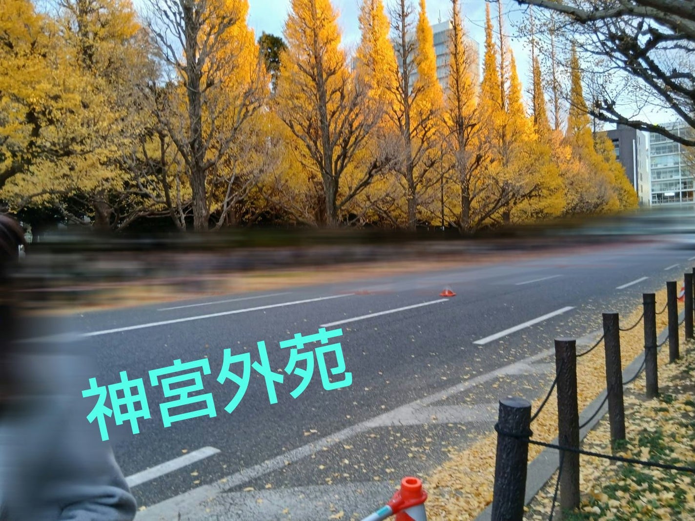 ピー on LIPS 「#神宮外苑────────────#紅葉🍁#イチョウ並木とにか..」(1枚目)