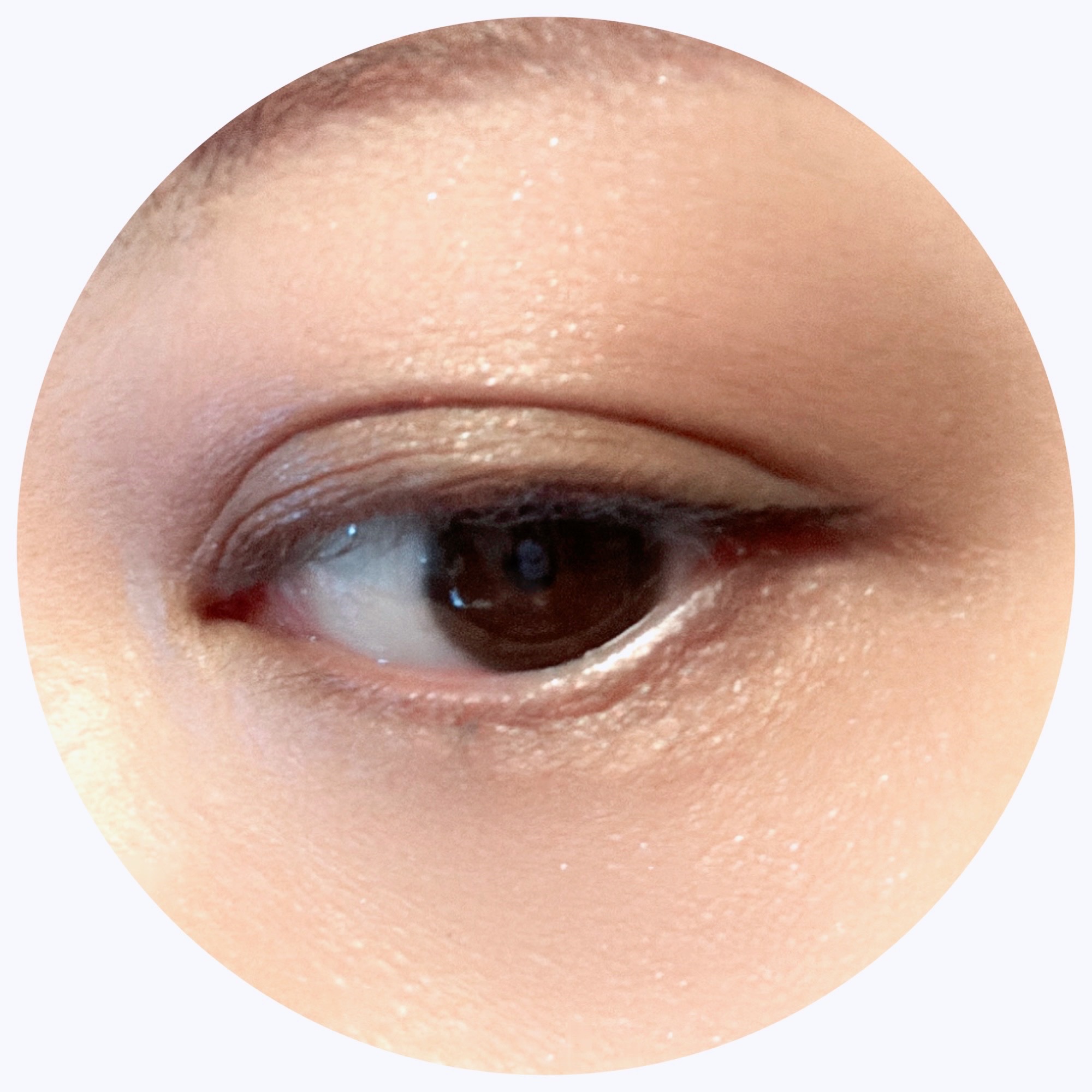 シングルカラーアイシャドウ/CEZANNE/単色アイシャドウを使ったクチコミ（3枚目）