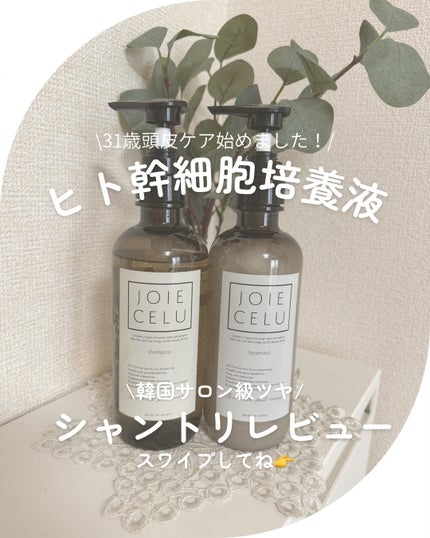 ジョワセル モイストシャンプー/JOIE CELU/市販シャンプーを使ったクチコミ(1枚目)