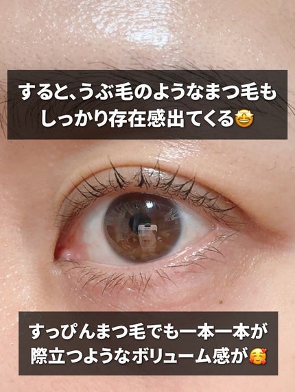 ラッシュジェリードロップ EX プレミアム/MAJOLICA MAJORCA/まつげ美容液を使ったクチコミ(7枚目)