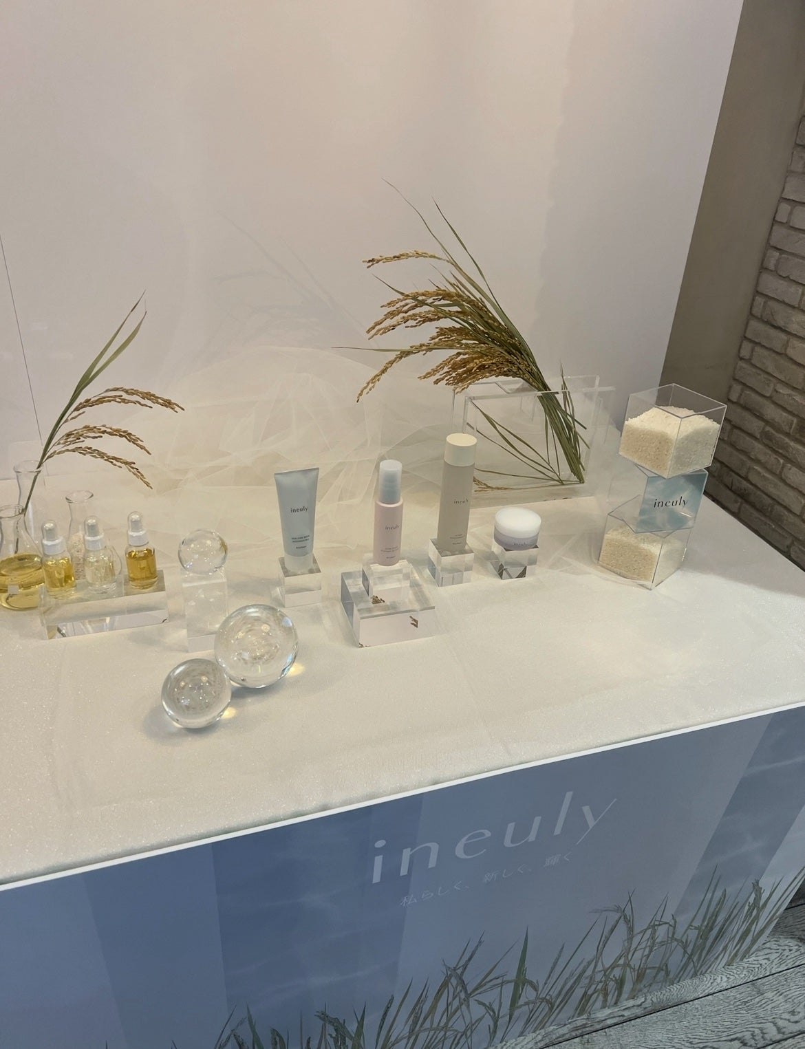 スキンケアウォッシュ/ineuly®/洗顔フォームを使ったクチコミ(3枚目)