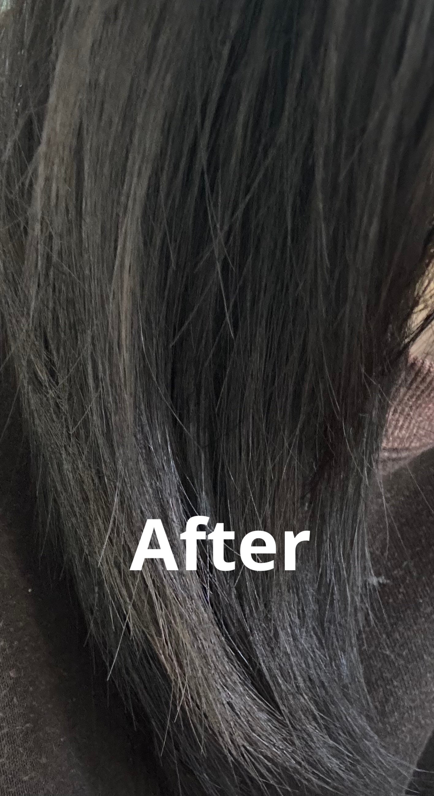 リカバリー オイルエッセンス/treecell/アウトバストリートメントを使ったクチコミ(4枚目)