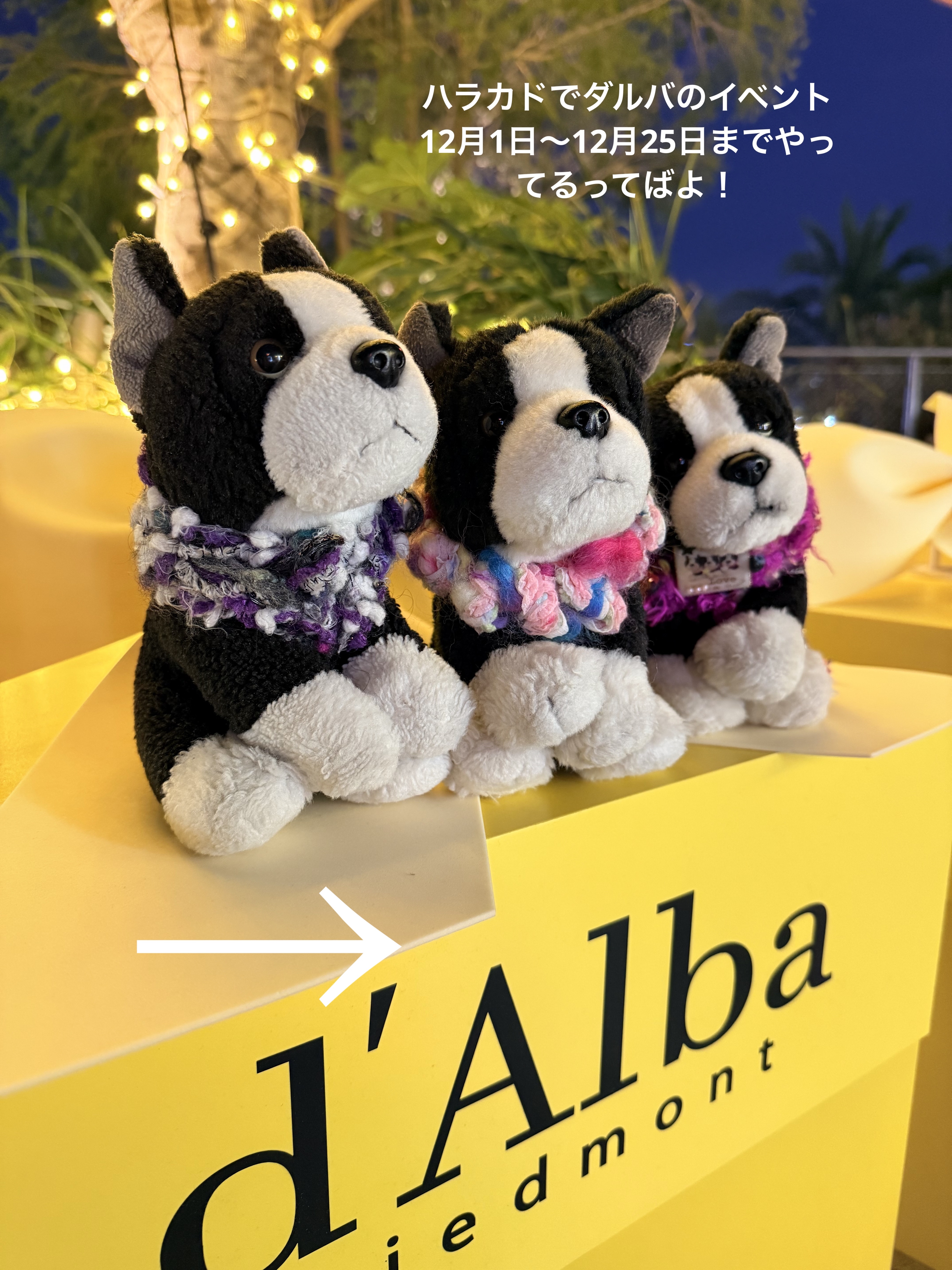 ダルバ ウォータフル トーンアップ サンクリーム(パープル)/ダルバ/日焼け止めクリームを使ったクチコミ（1枚目）