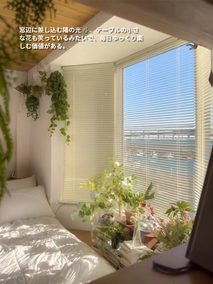 アネトス マイルド フェイシャル クレンザー/Anetos/洗顔フォームを使ったクチコミ(3枚目)