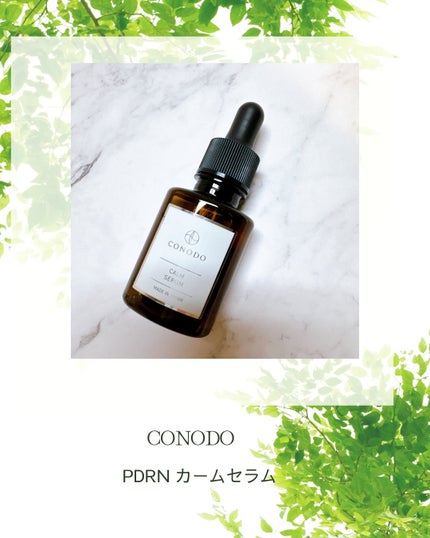 を使ったクチコミ(1枚目)