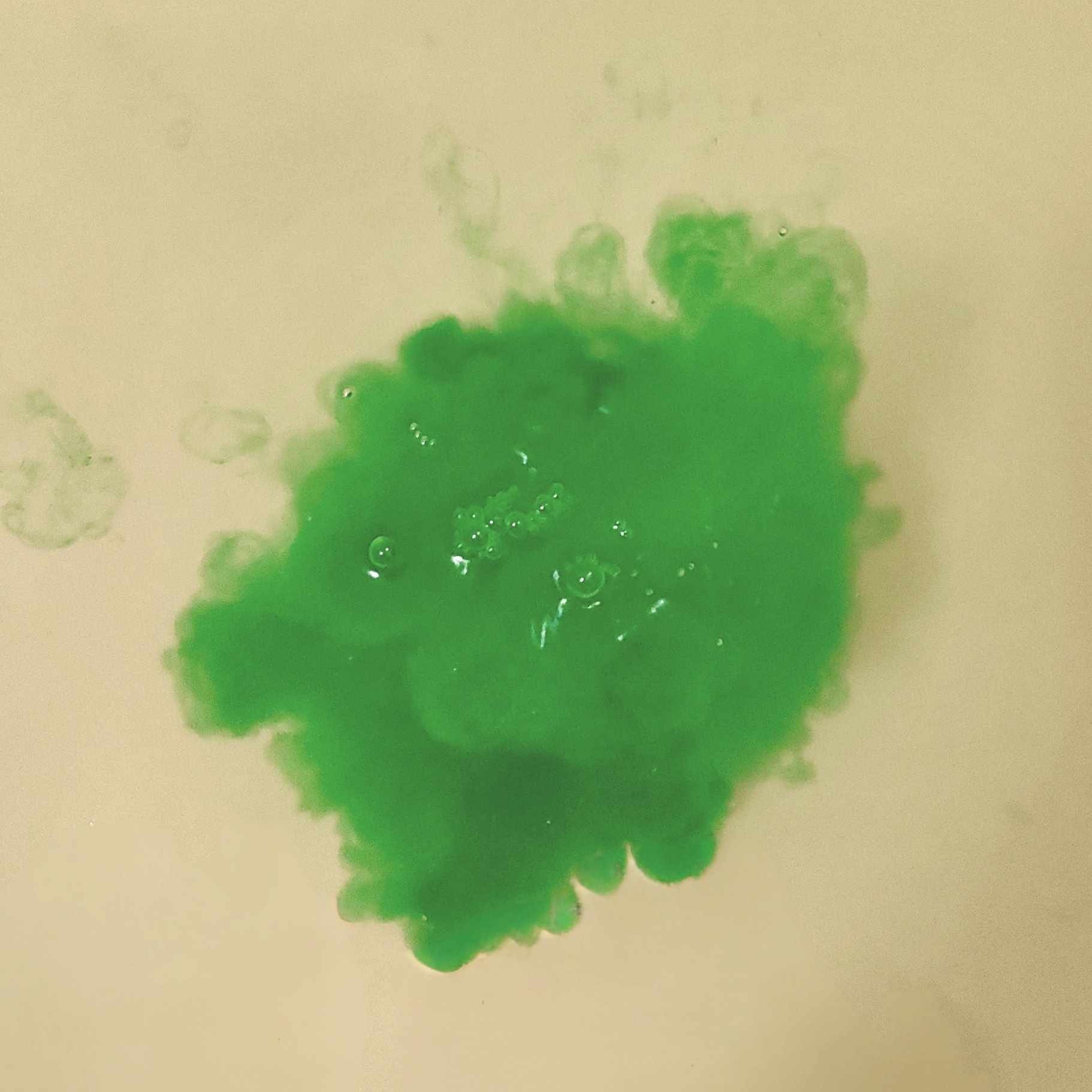 アビアントK/関西酵素/入浴剤を使ったクチコミ（2枚目）