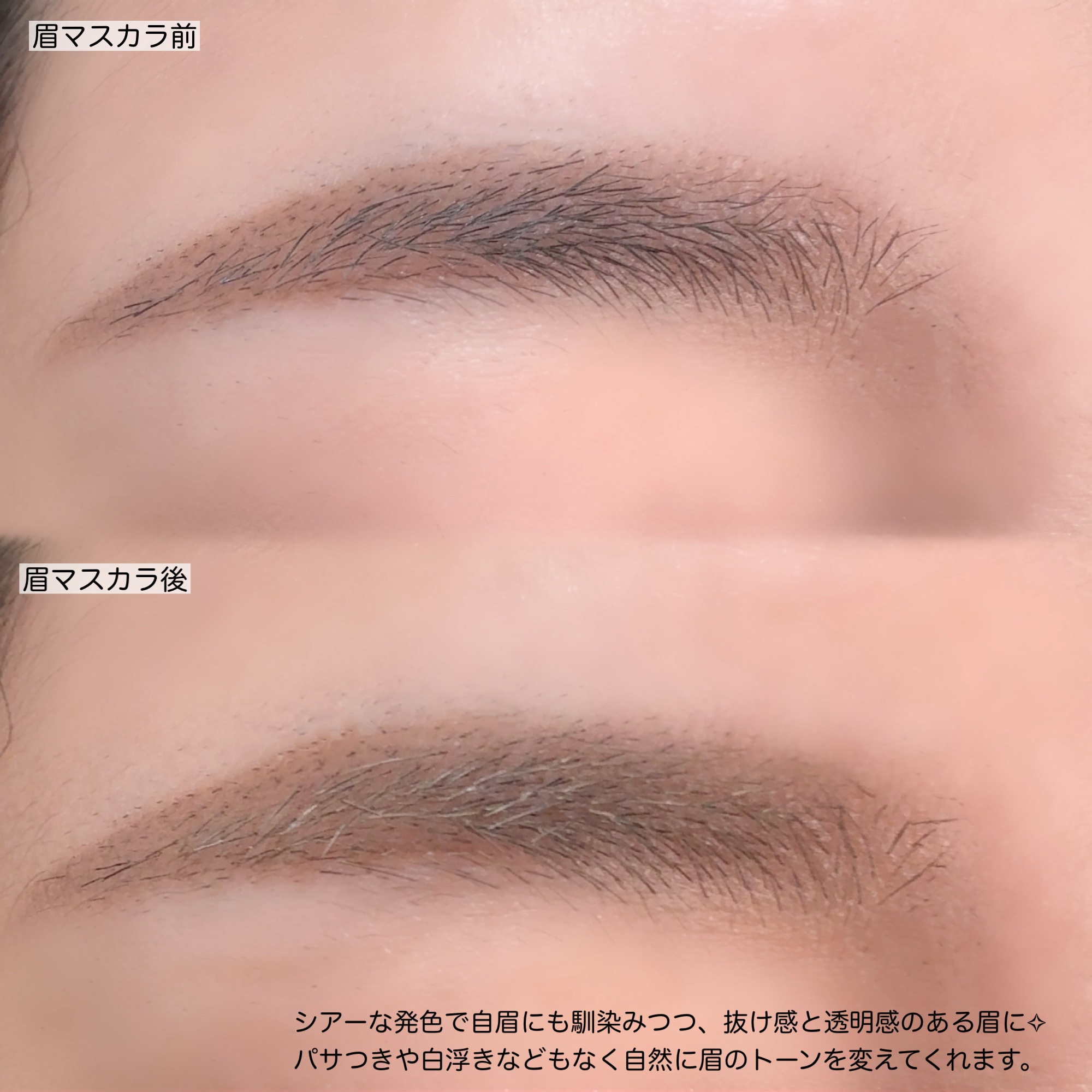 シアーカラーブロウ 3 シアートープ/デジャヴュ/眉マスカラを使ったクチコミ（3枚目）
