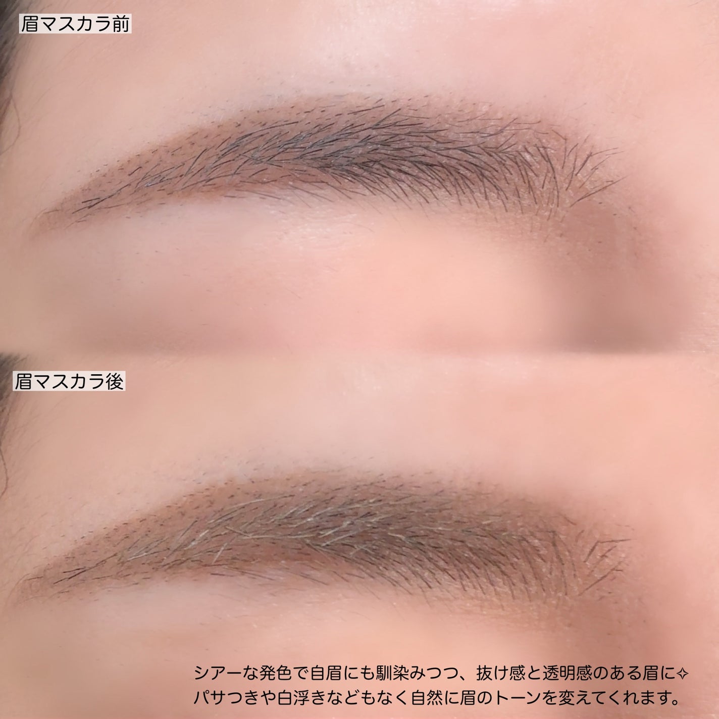 ã·ã¢ãŒã«ã©ãŒãããŠ/ããžã£ãŽã¥/çãã¹ã«ã©ã䜿ã£ãã¯ãã³ãïŒ3æç®ïŒ