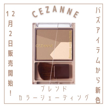 ブレンドカラーシェーディング/CEZANNE/シェーディングを使ったクチコミ(1枚目)