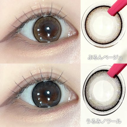 ネオサイトワンデー リングUV うるみノワール/Aire/ワンデー(1DAY)カラコンの画像