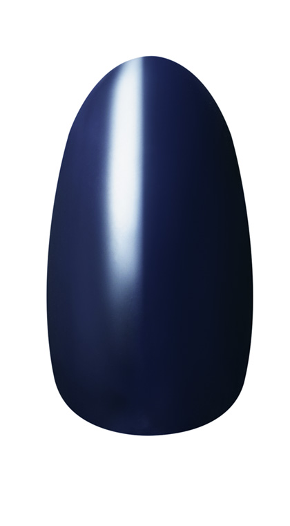 ネイルホリック モードカラーズ BL079D