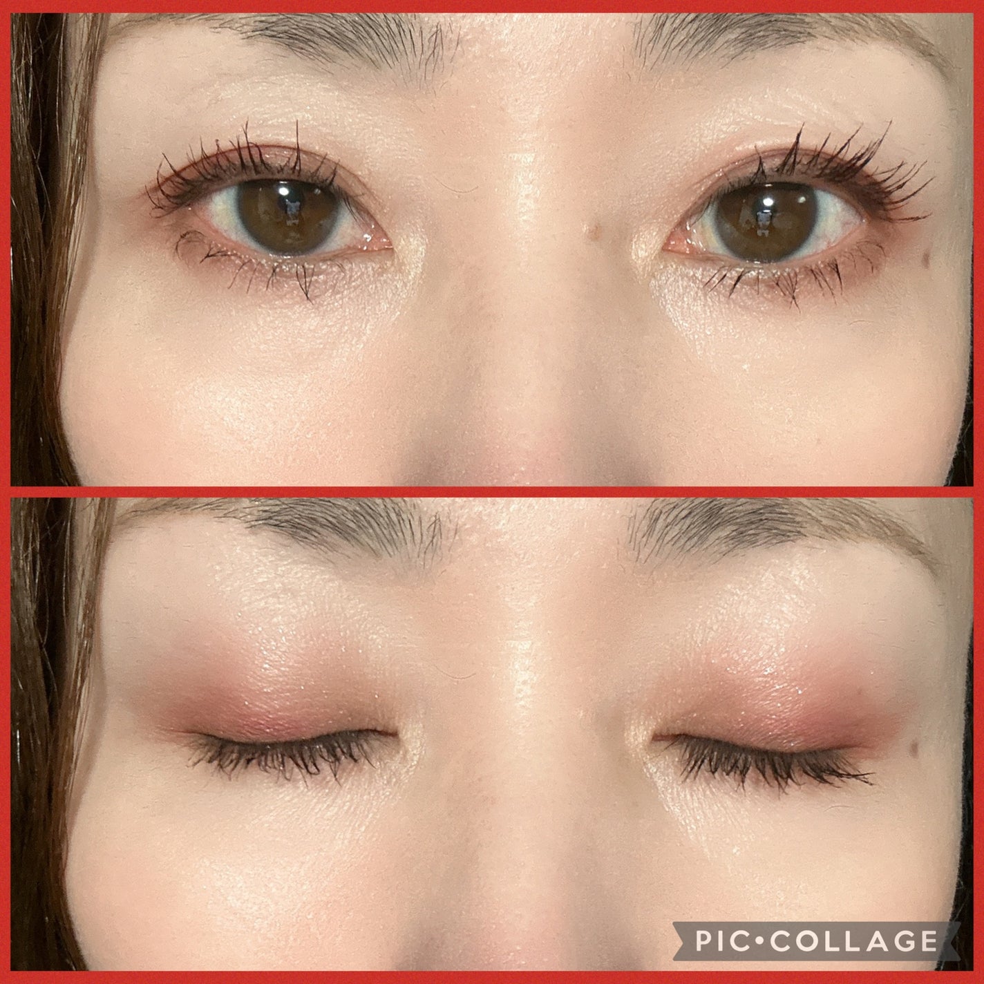 エクスプローラ12色 動物アイシャドウパレット/PERFECT DIARY/アイシャドウパレットを使ったクチコミ(3枚目)