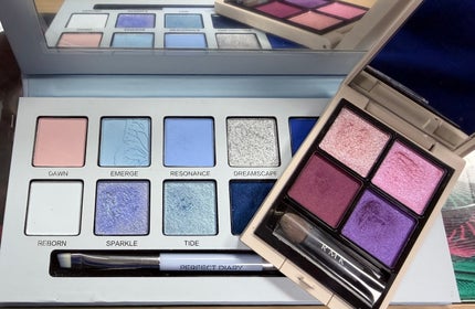 エクスプローラ12色 動物アイシャドウパレット/PERFECT DIARY/アイシャドウパレットを使ったクチコミ(5枚目)