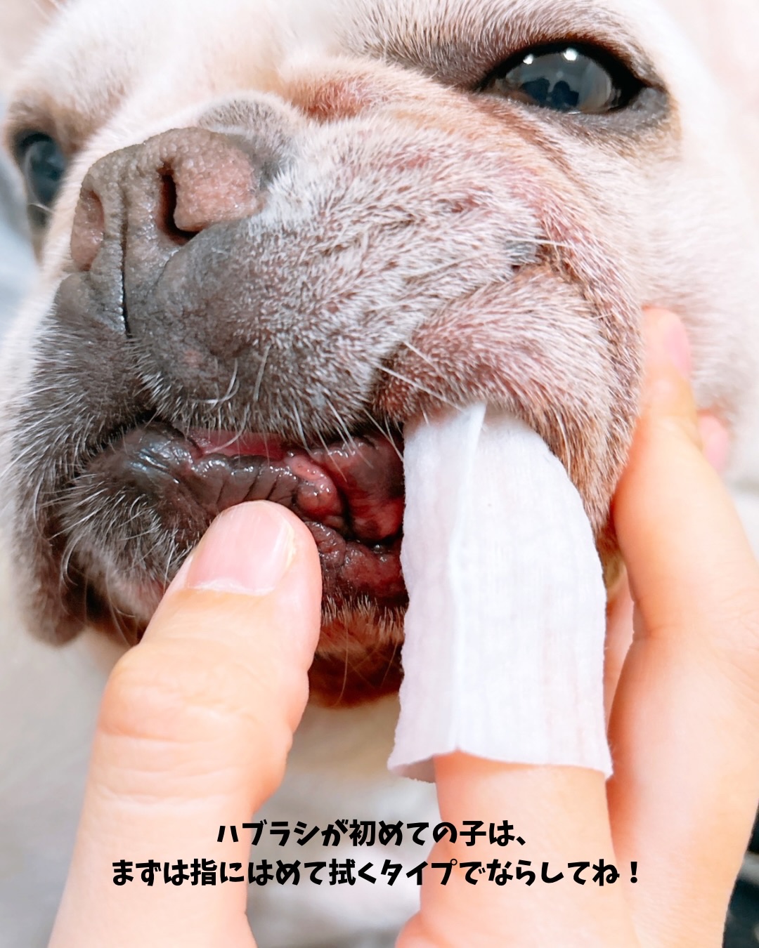 ドクターデンタルワン/サンテミナ/その他オーラルケアを使ったクチコミ（3枚目）