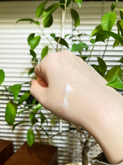 ネイチャーコンク 薬用クリアモイストジェルクリーム/ネイチャーコンク/オールインワン化粧品を使ったクチコミ(3枚目)