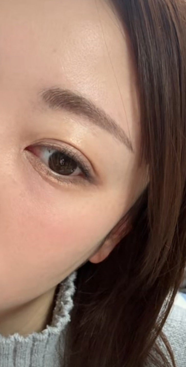 エクスプローラ12色 動物アイシャドウパレット/PERFECT DIARY/アイシャドウパレットを使ったクチコミ(4枚目)