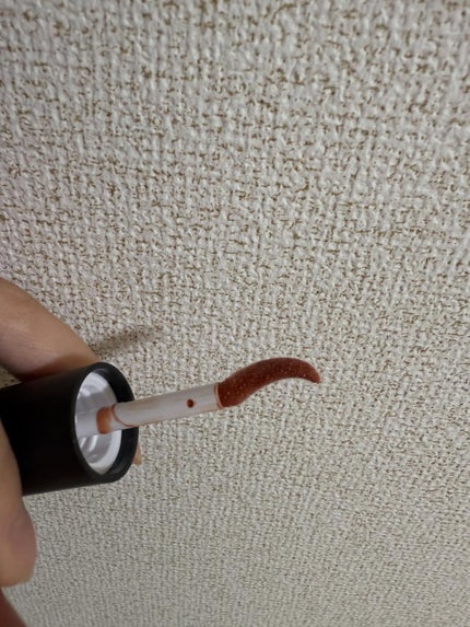 ニュアンス リップグロス/OSAJI/リップグロスを使ったクチコミ(5枚目)