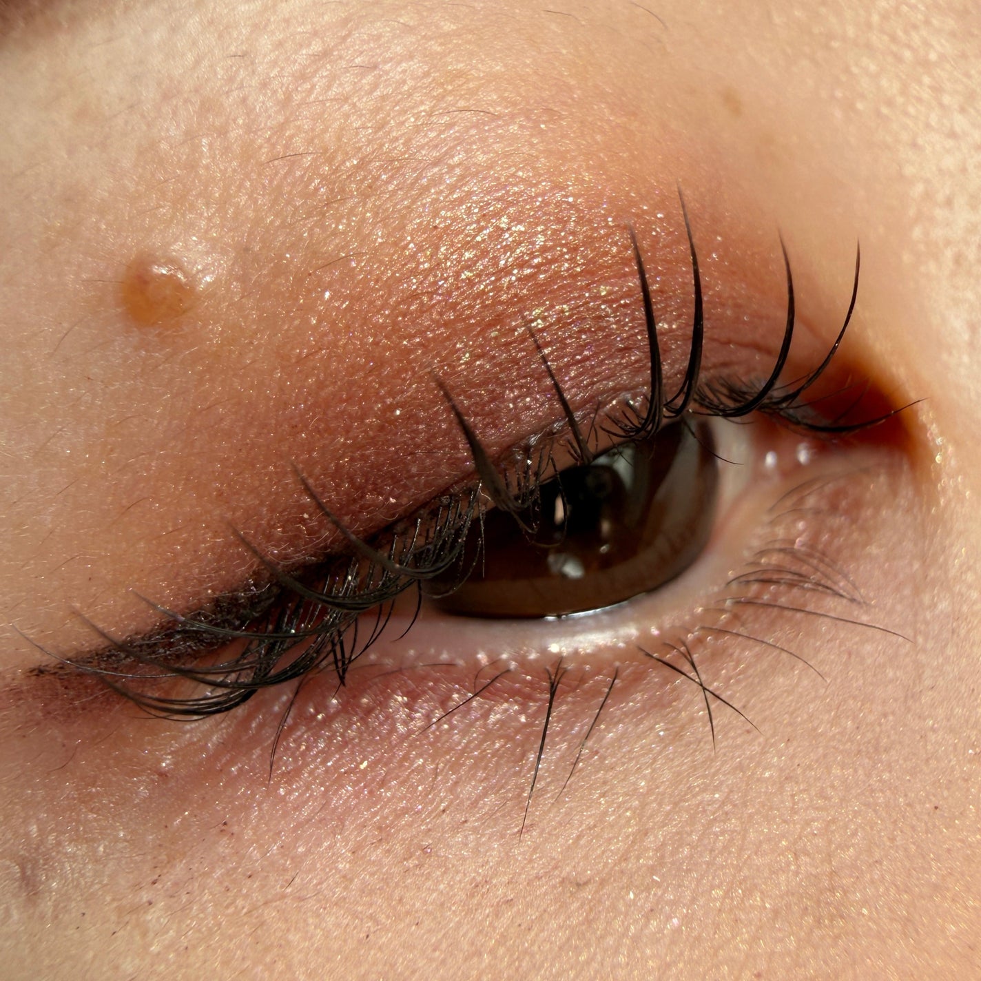 アイカラーレーション/LUNASOL/アイシャドウパレットを使ったクチコミ(2枚目)