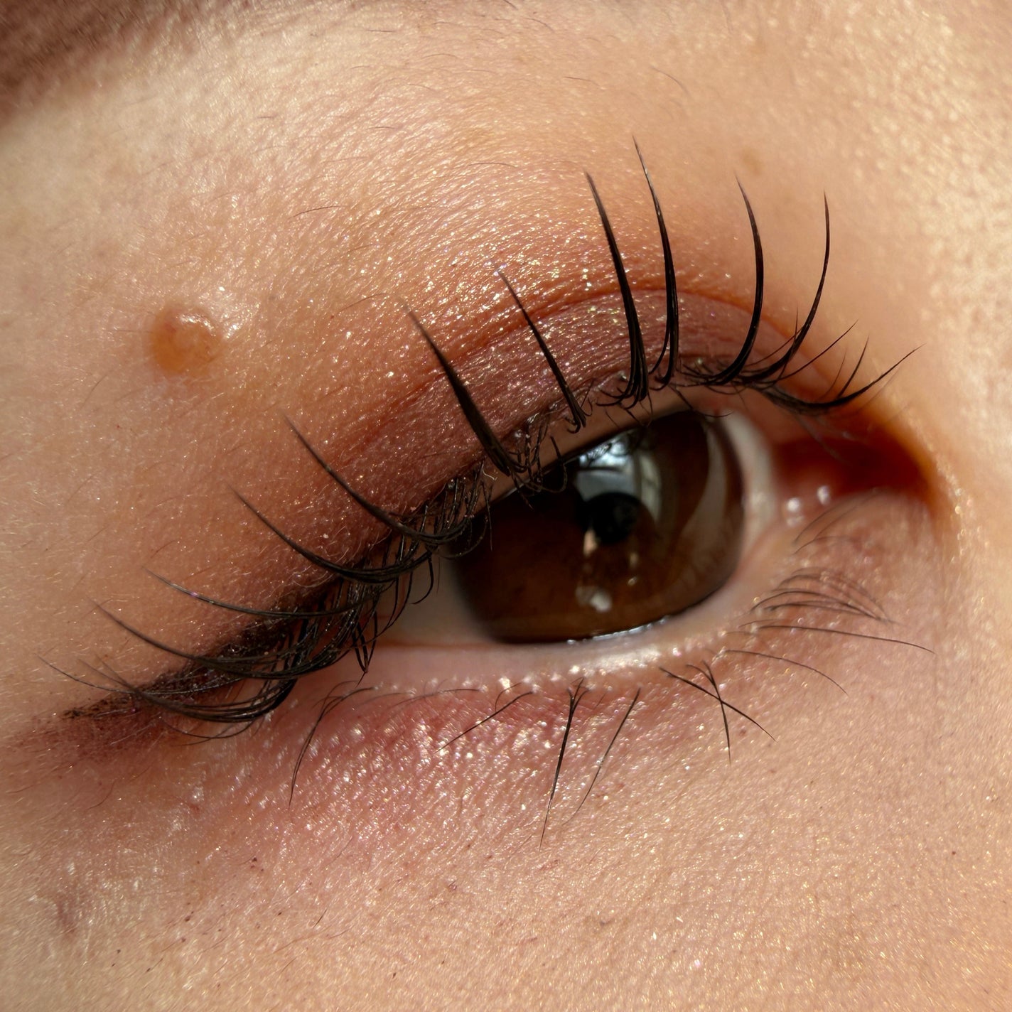 アイカラーレーション/LUNASOL/アイシャドウパレットを使ったクチコミ(1枚目)