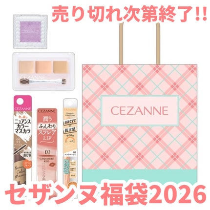 パレットコンシーラー/CEZANNE/パレットコンシーラーを使ったクチコミ(1枚目)