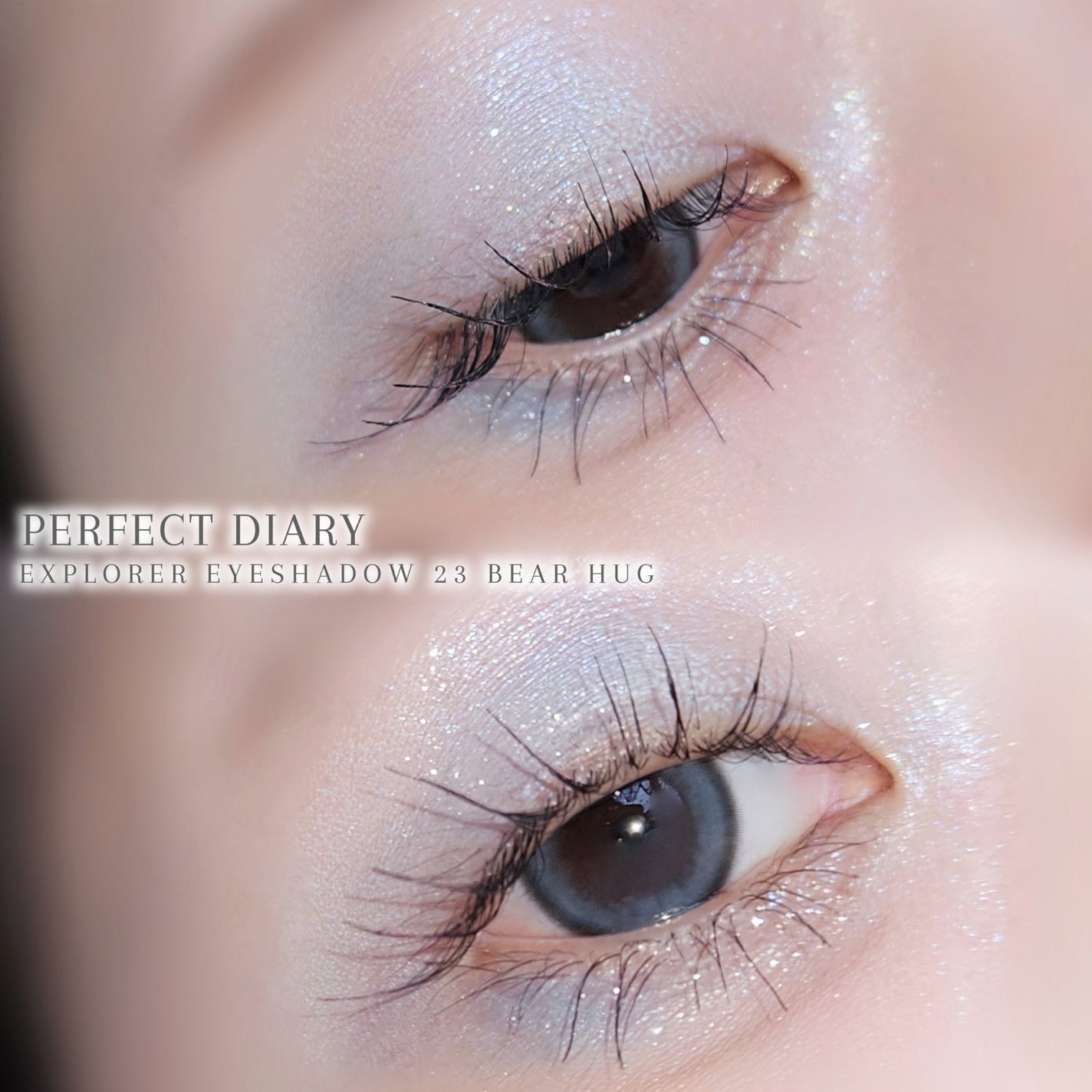 エクスプローラ12色 動物アイシャドウパレット/PERFECT DIARY/アイシャドウパレットを使ったクチコミ(4枚目)