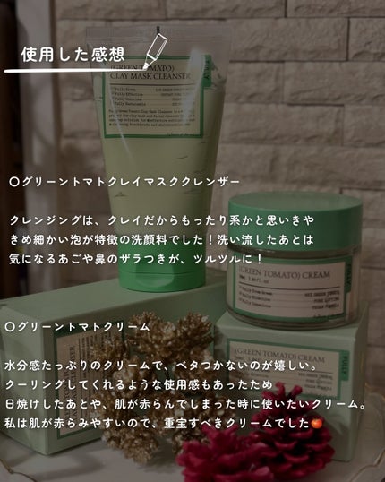 グリーントマトクレイマスククレンザー/FULLY/洗い流すパック・マスクを使ったクチコミ(5枚目)