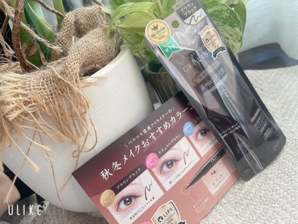 シルキーリキッドアイライナーWP/D-UP/リキッドアイライナーを使ったクチコミ(10枚目)