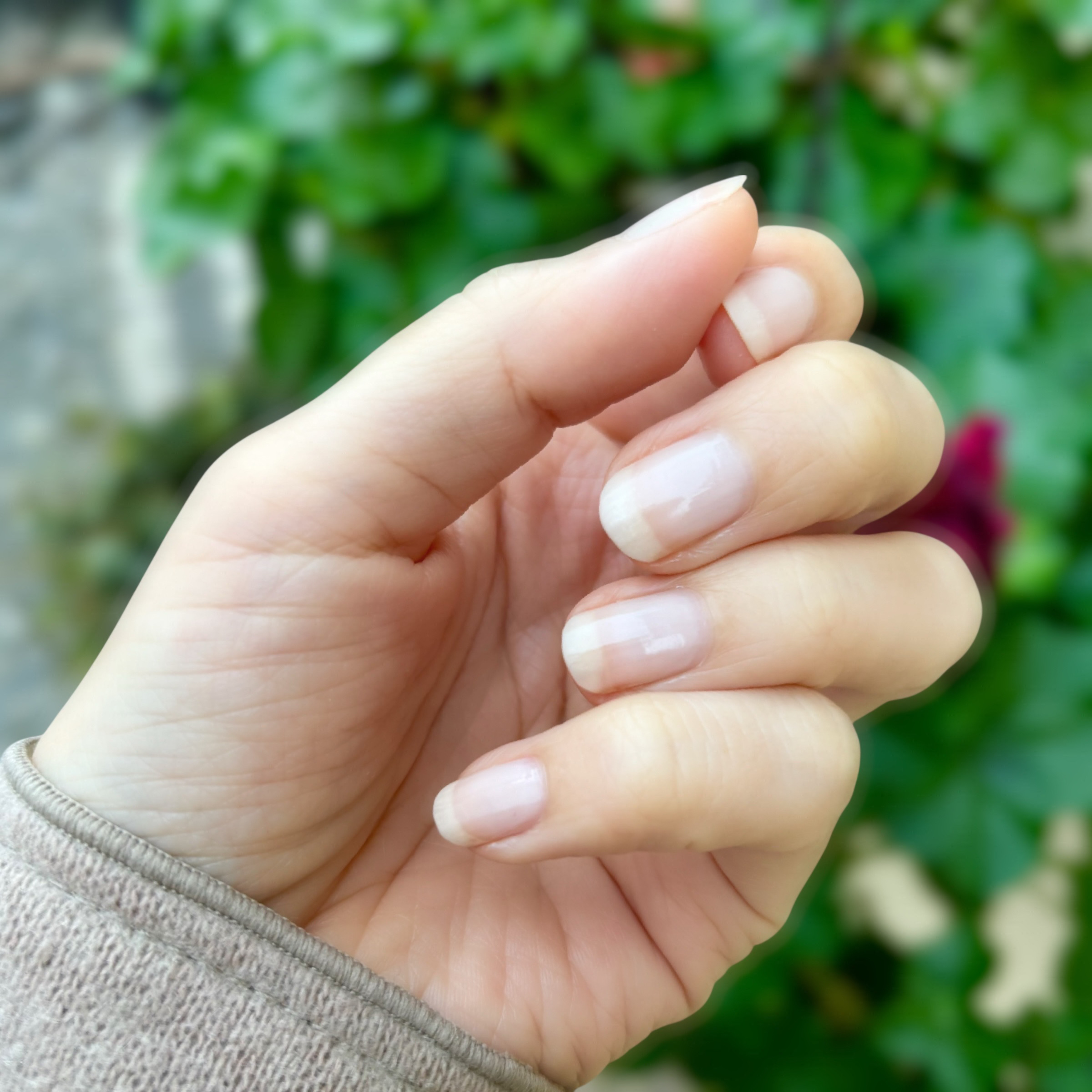 ヴェルニ 167 バレリーナ / CHANEL(シャネル) | LIPS