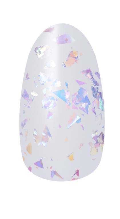 ネイルホリック ラメフレークカラーズ WT045R