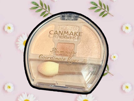 プランぷくコーデアイズ/キャンメイク/パウダーアイシャドウを使ったクチコミ(1枚目)