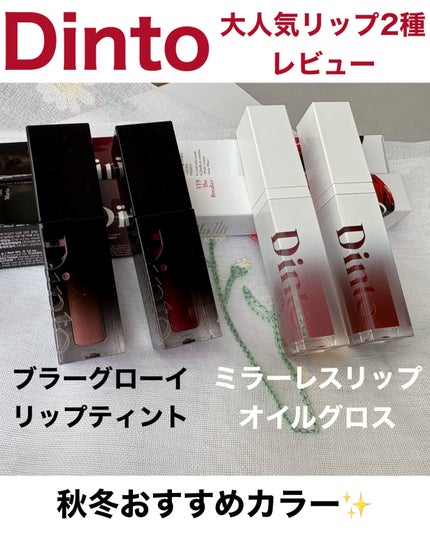 ブラーグロイリップティント/Dinto/リップティントを使ったクチコミ(1枚目)