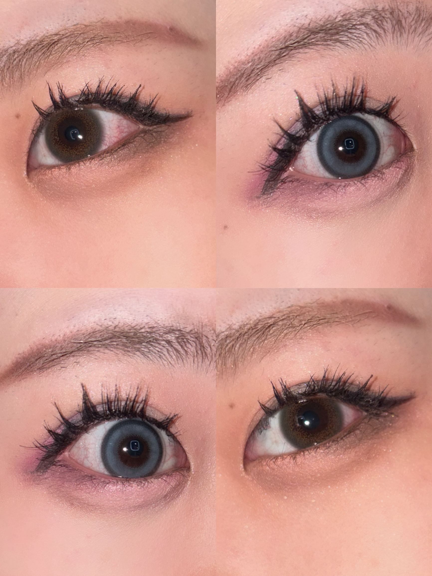 フーミー マルチアイブロウパウダー レッドブラウン/WHOMEE/パウダーアイブロウを使ったクチコミ（2枚目）