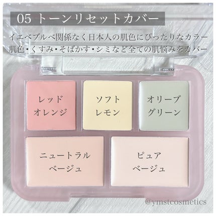 コンシールブレンダーパレット 05 トーンリセットカバー/LUNA/パレットコンシーラーの画像